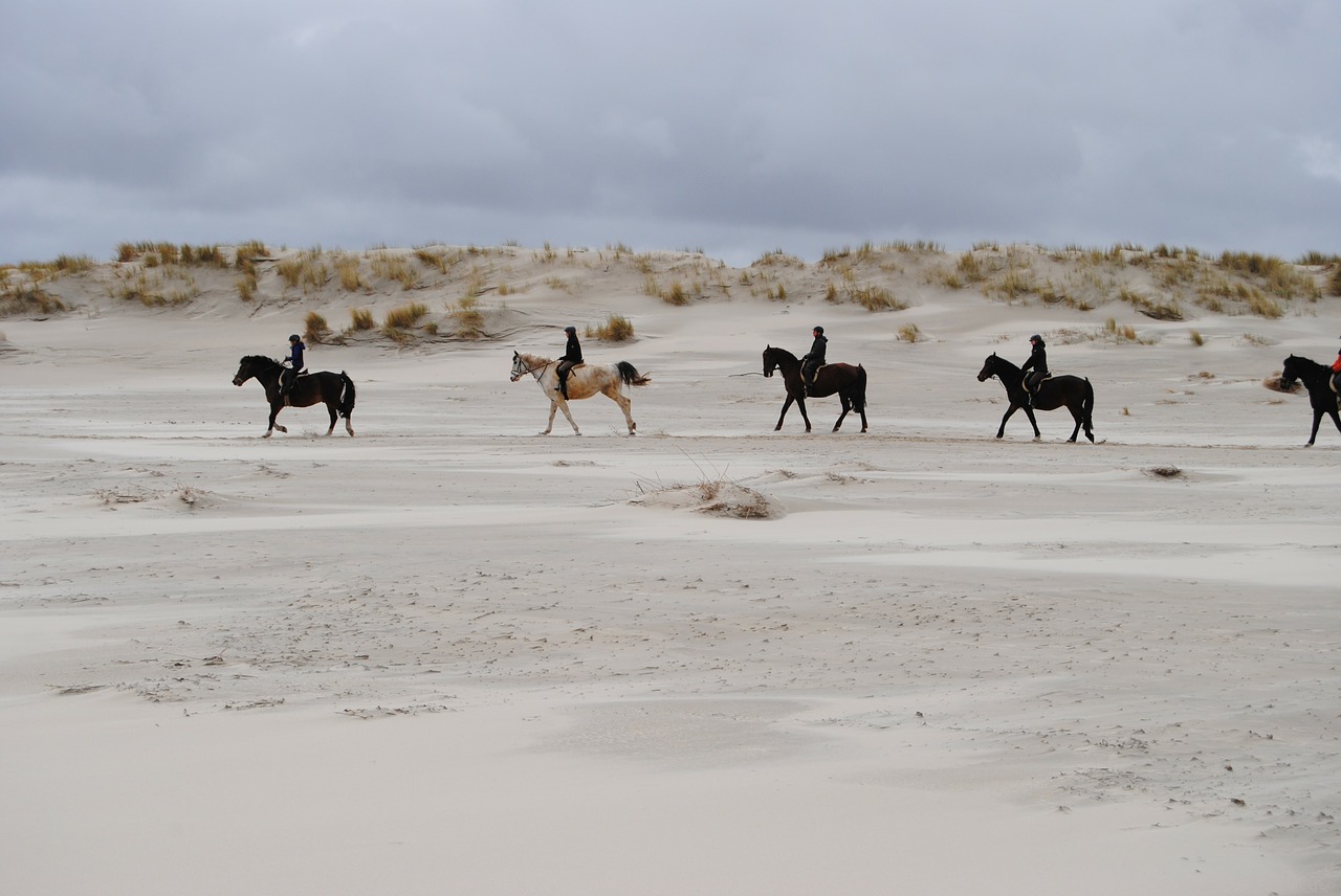 north sea ride reiter free photo