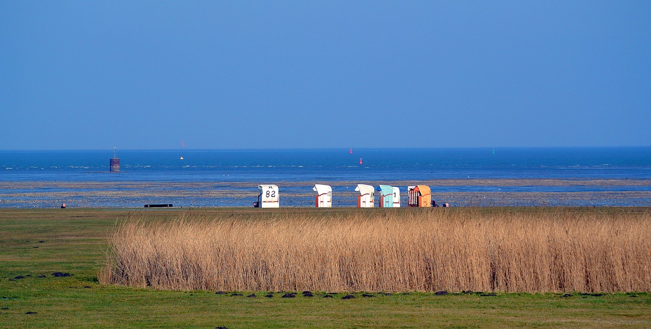 north sea beach nature free photo