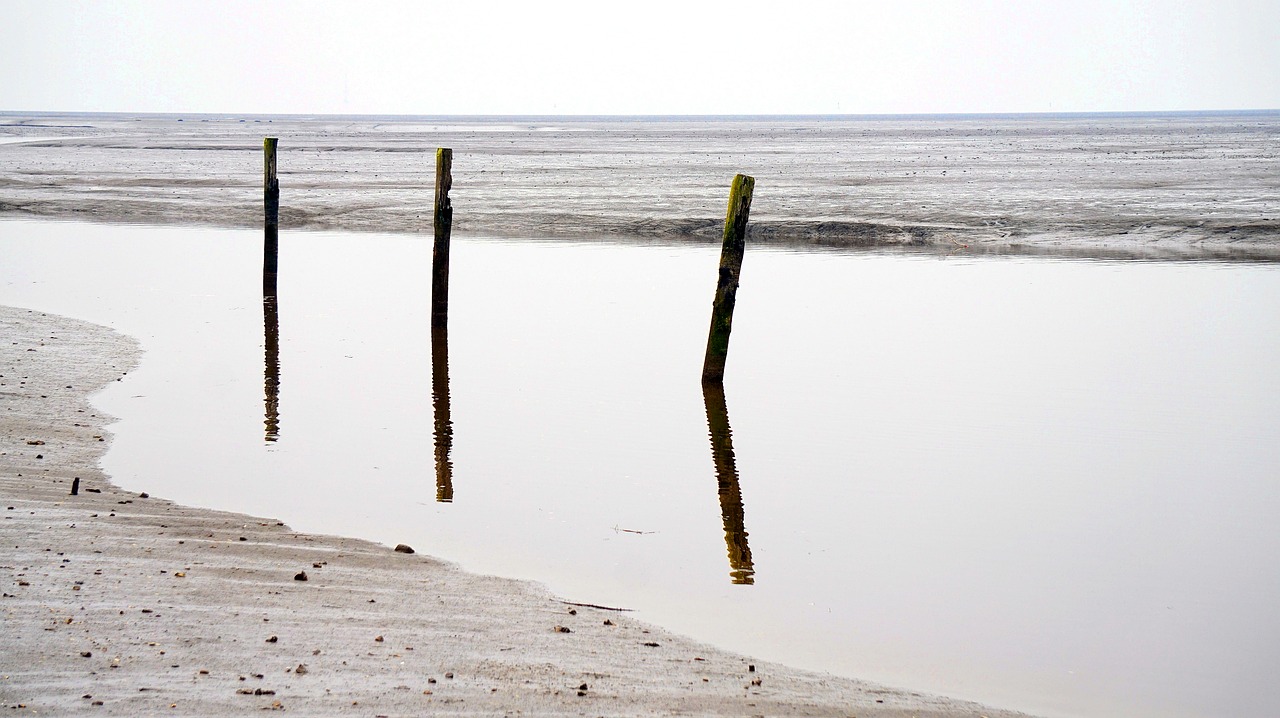 north sea beach winter free photo