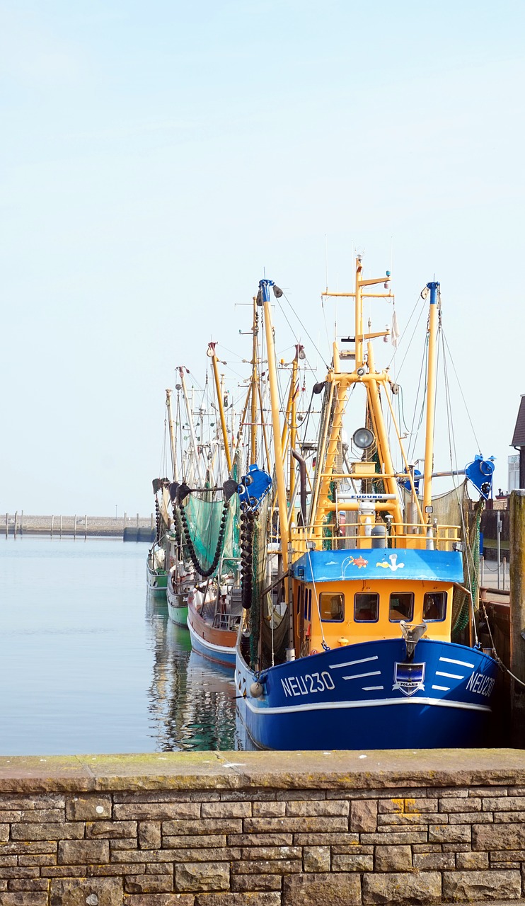 north sea sea waters free photo