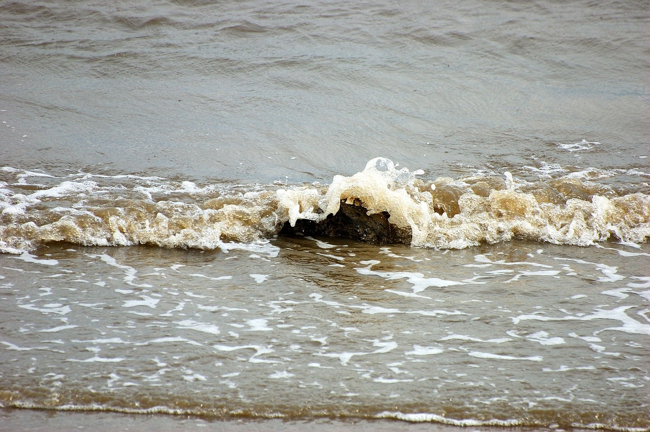 north sea sea beach free photo