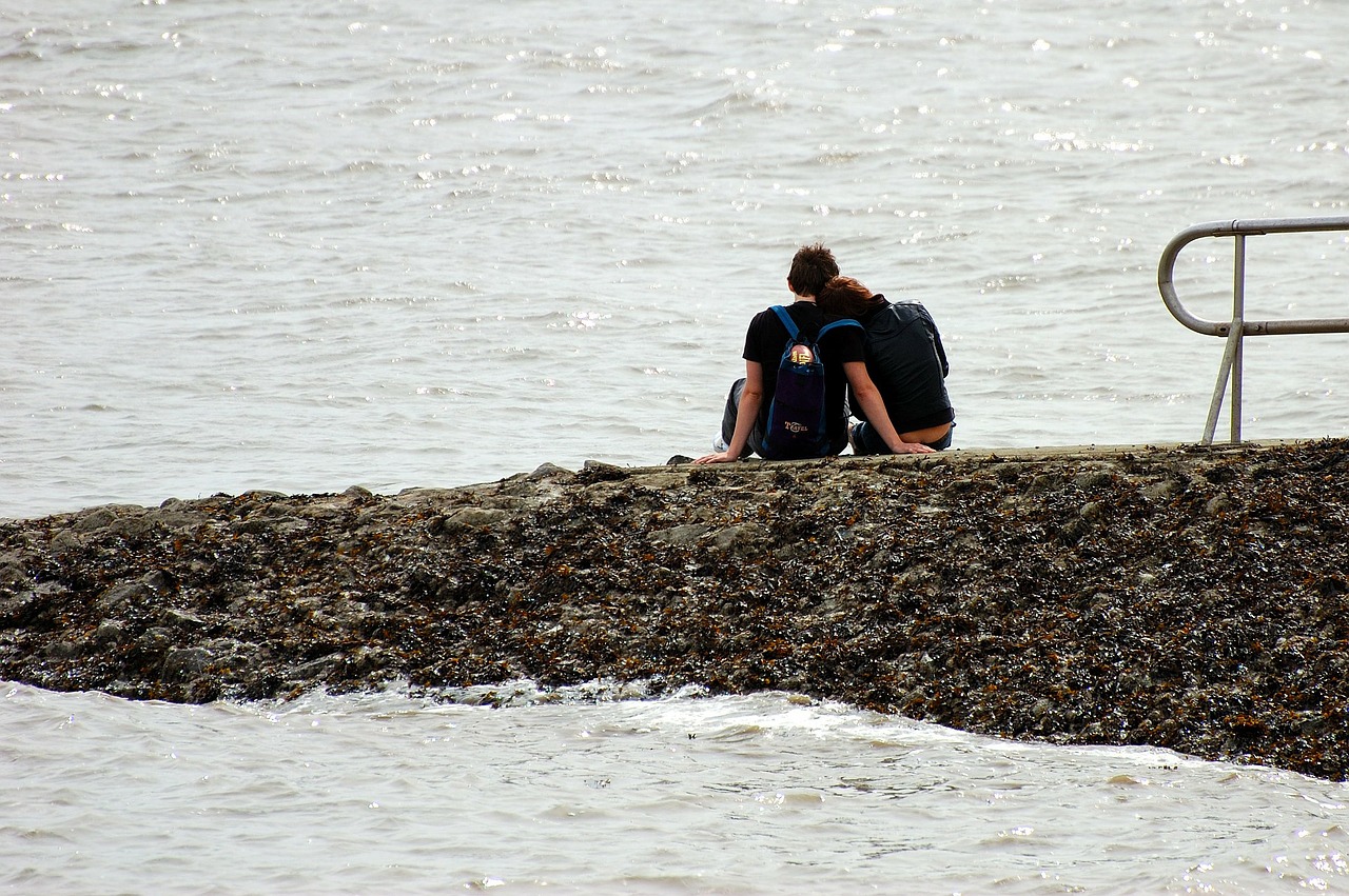 north sea water beach free photo