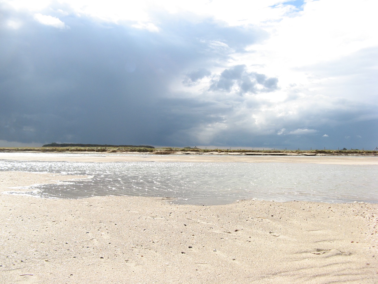 north sea  dune  sandy beach dunes free photo