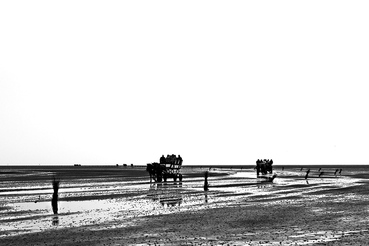 north sea  wadden sea  cuxhaven free photo