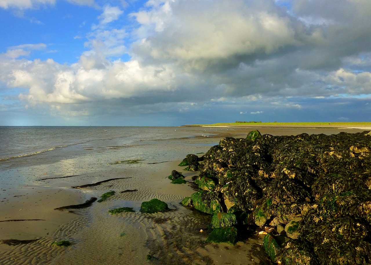 north sea  beach  coast free photo