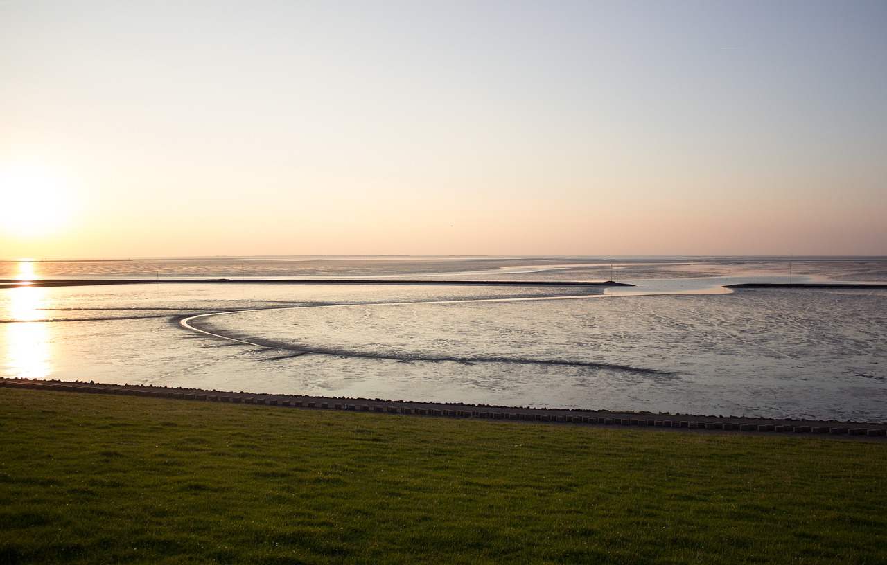 north sea  wadden sea  east frisia free photo