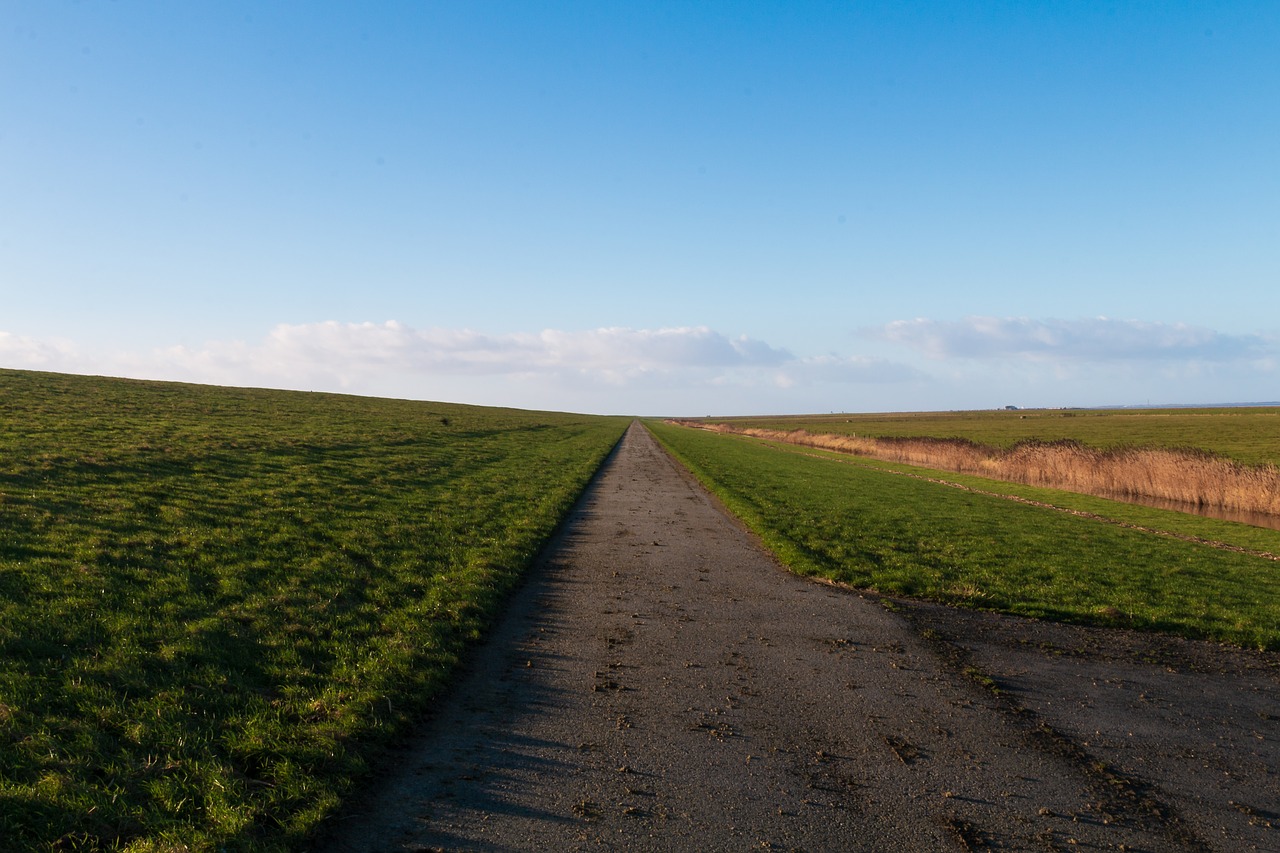 north sea  dike  meadow free photo