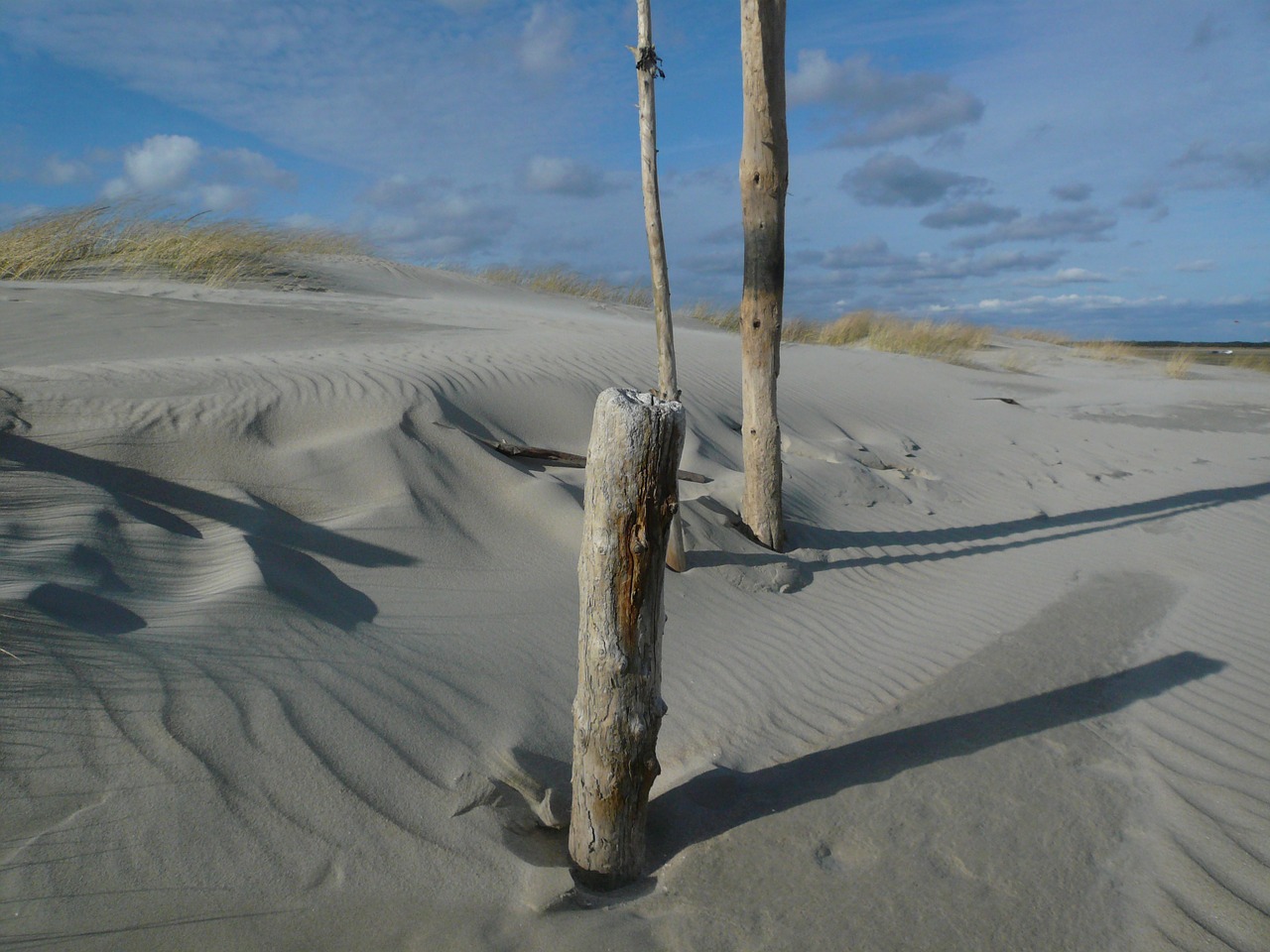 north sea dunes beach free photo