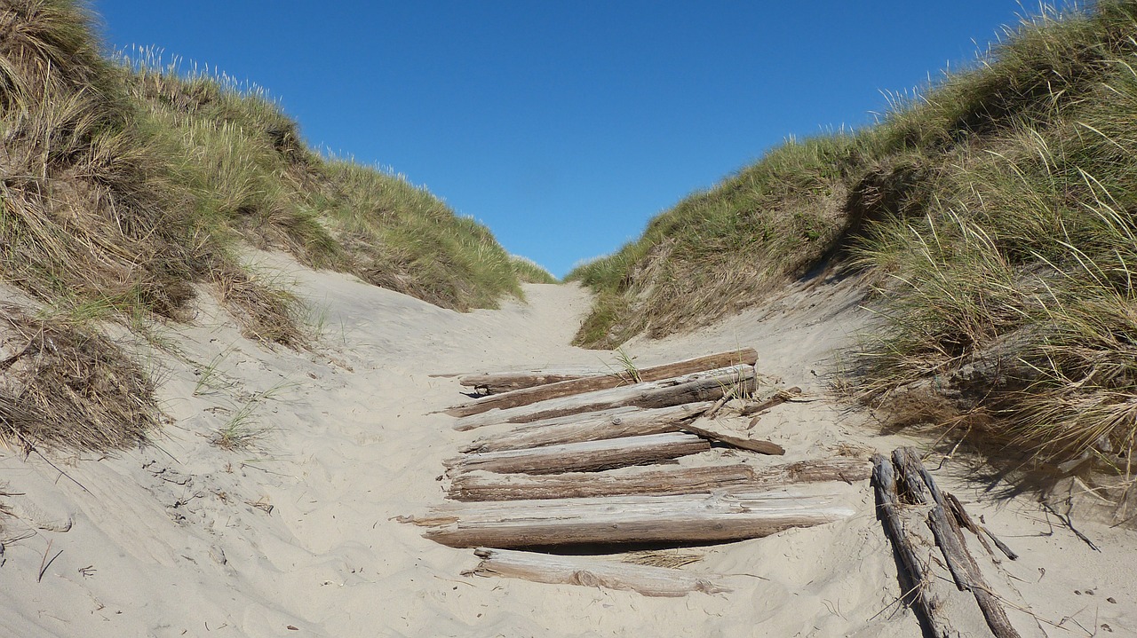 north sea away dunes free photo