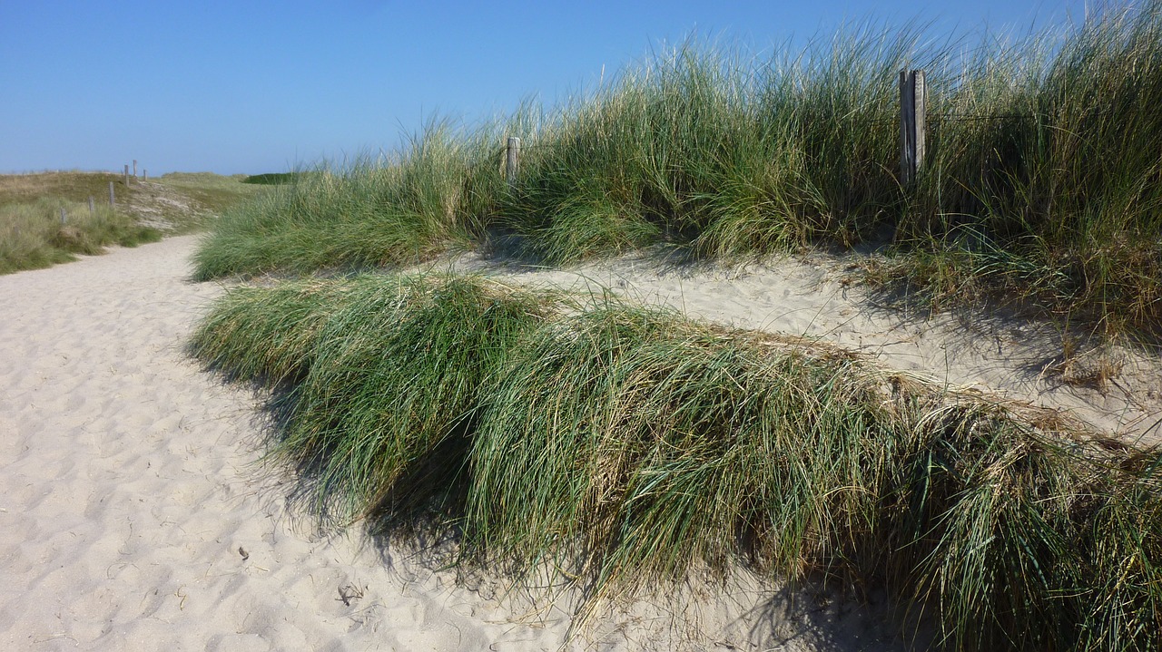 north sea sylt sand free photo