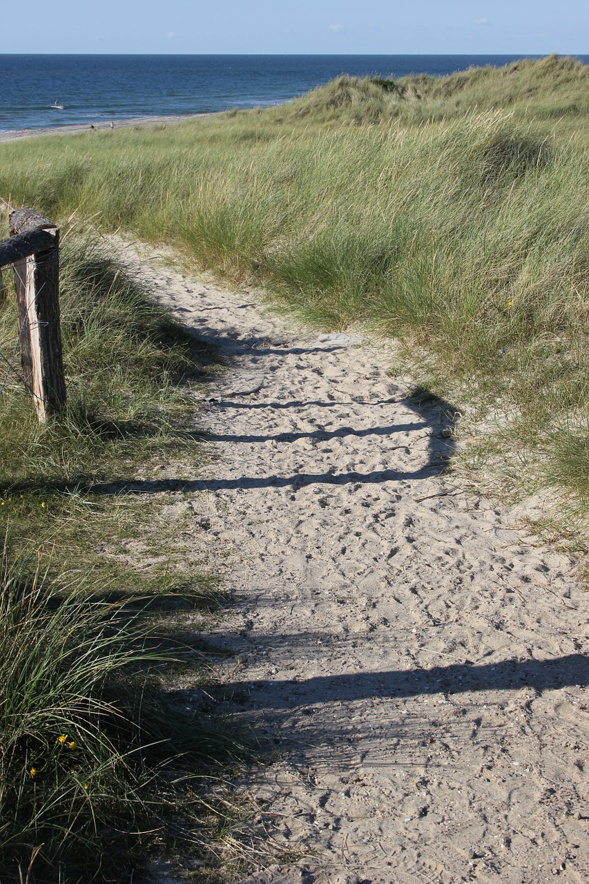 north sea dunes away free photo