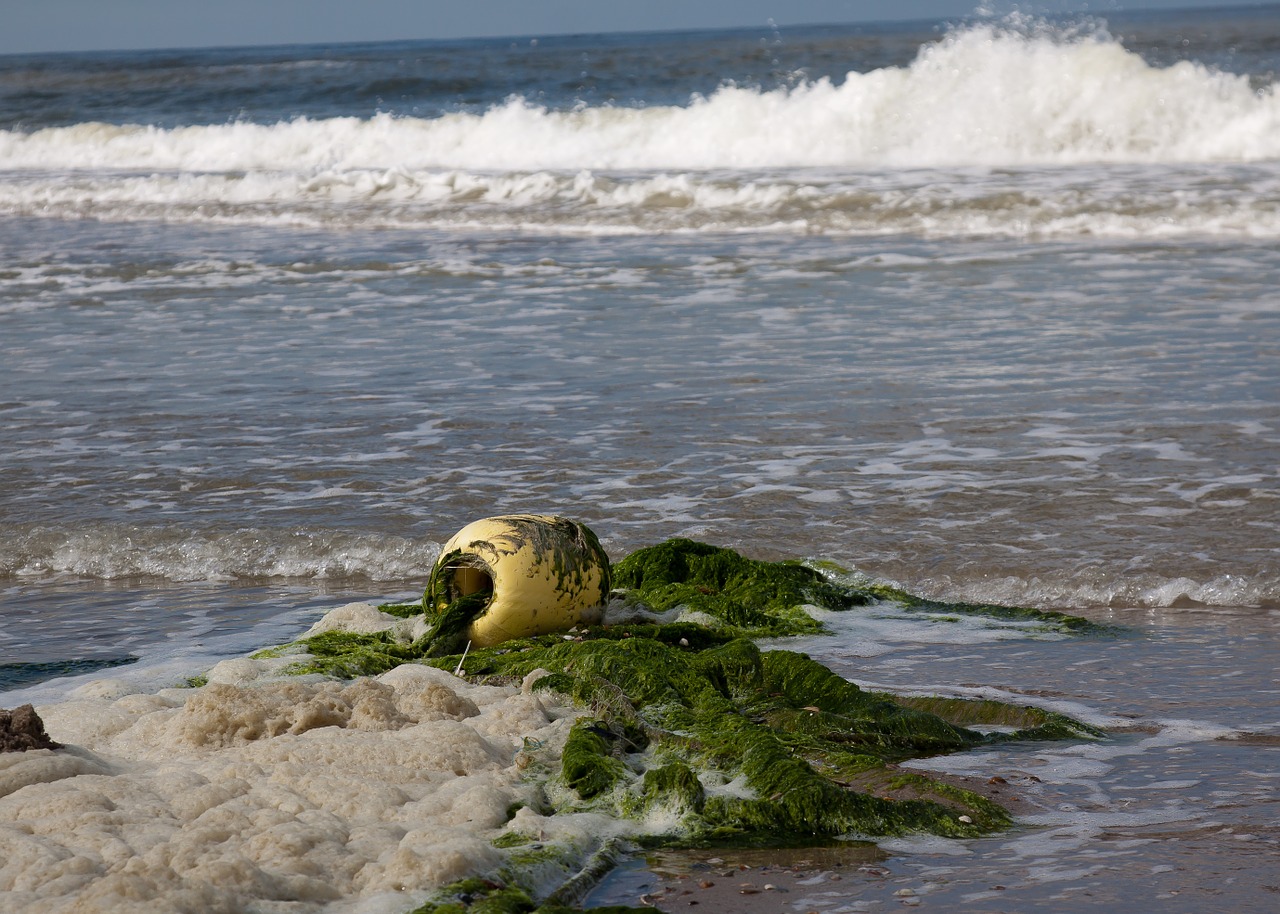 north sea water sea free photo