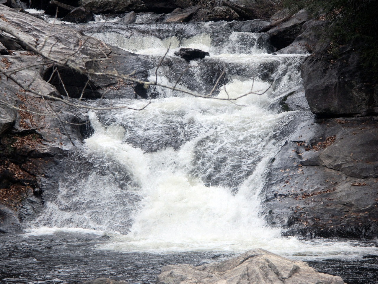 northcarolina mountains nature free photo