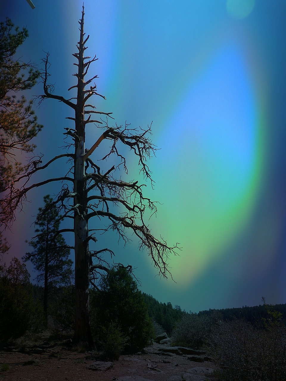 northern lights aurora borealis free photo