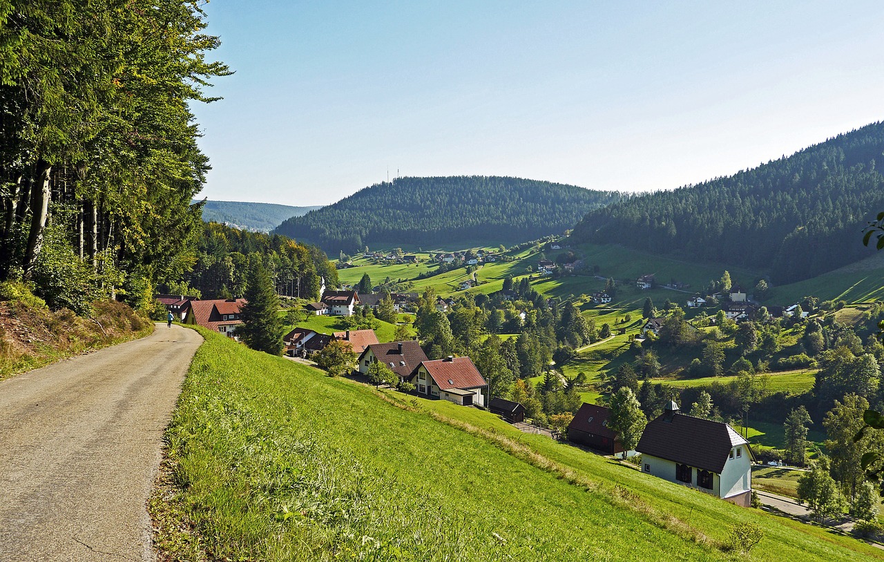 northern black forest baiersbronn clay valley free photo