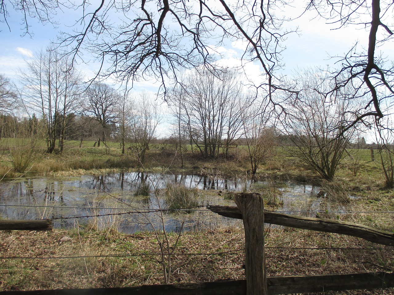 northern germany pond pools free photo