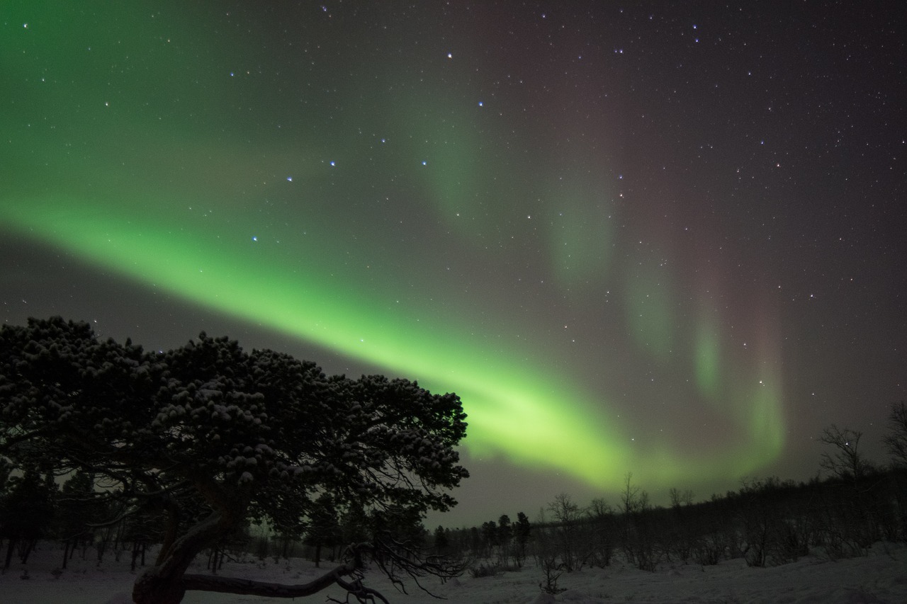 northern lights  sweden  night free photo