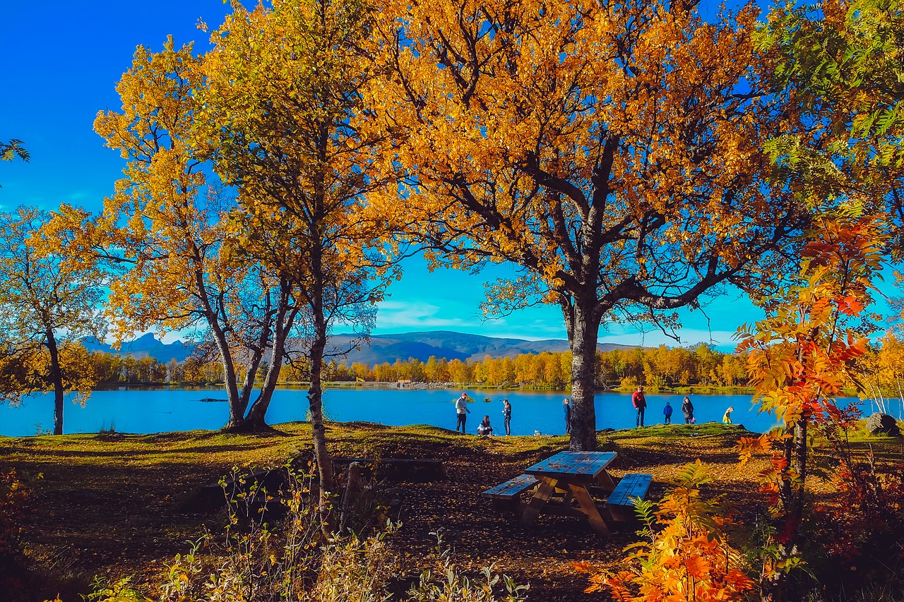 norway autumn fall free photo