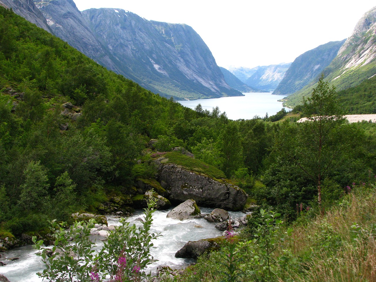 norway nature fjord free photo