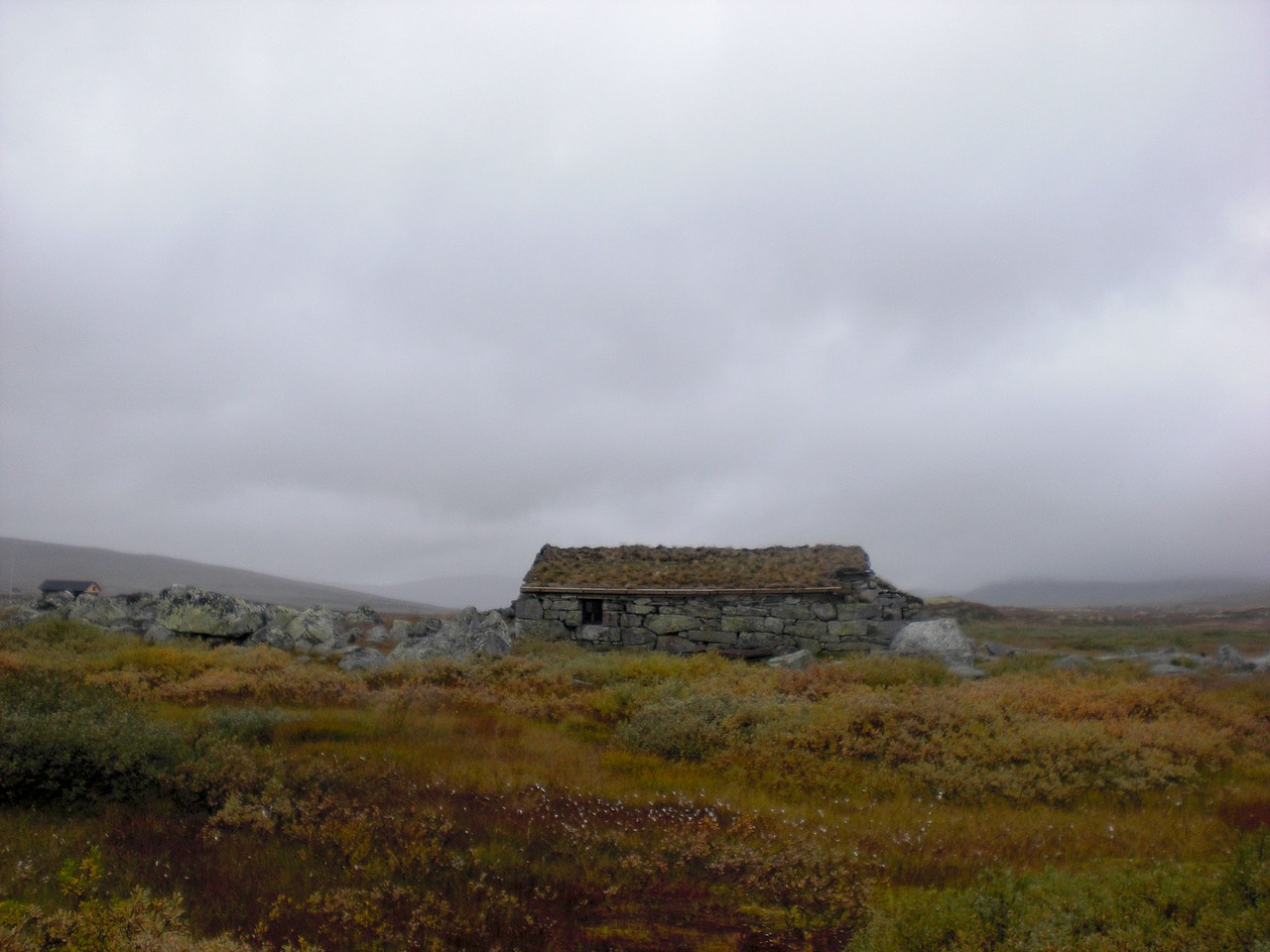 norway hardangervidda landscape free photo