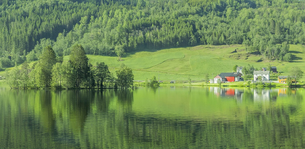 norway lake green free photo