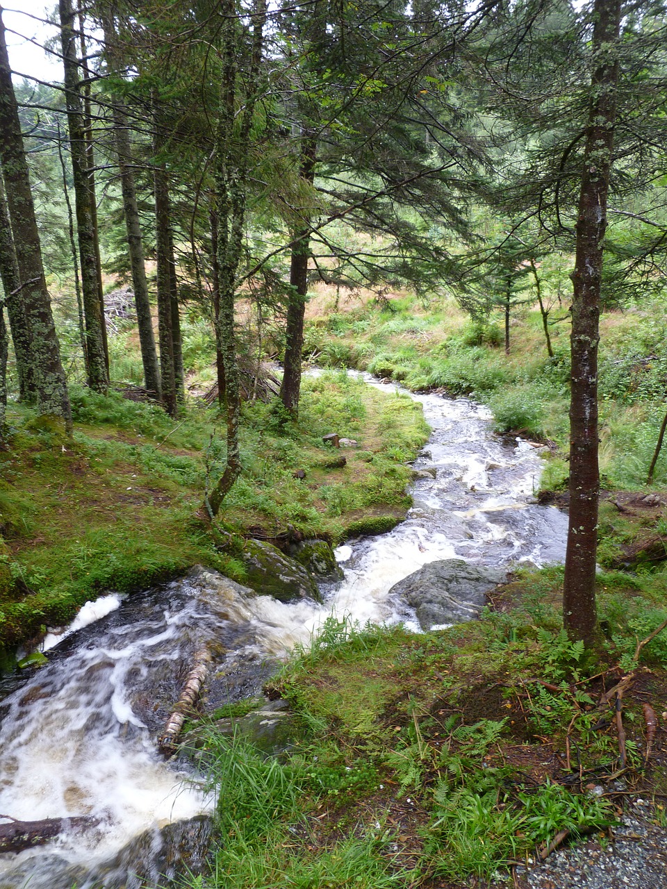 norway stream mountain free photo