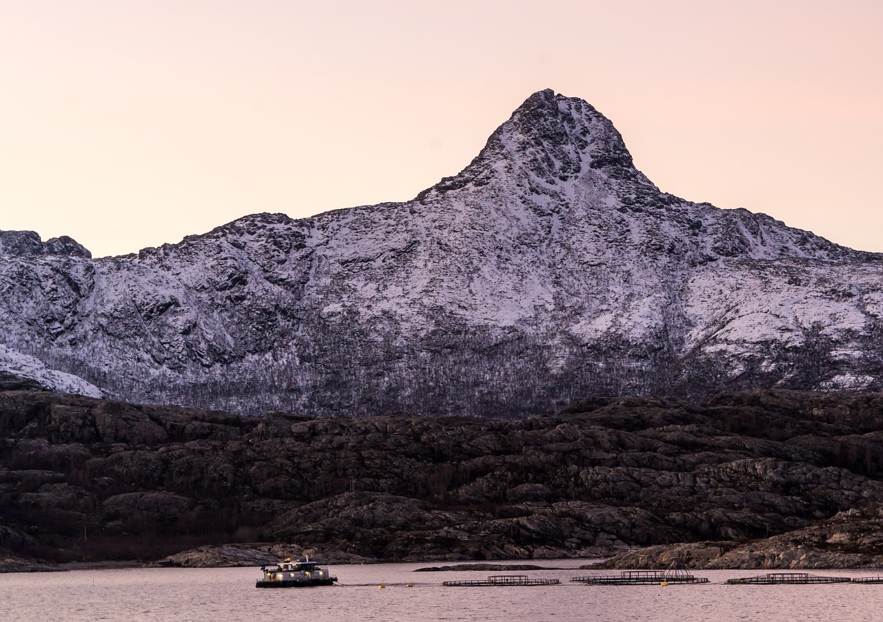 norway cruise sunrise free photo