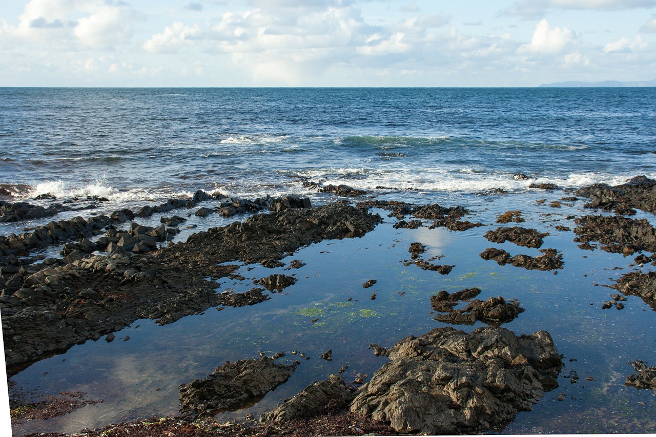 norway coast sea free photo