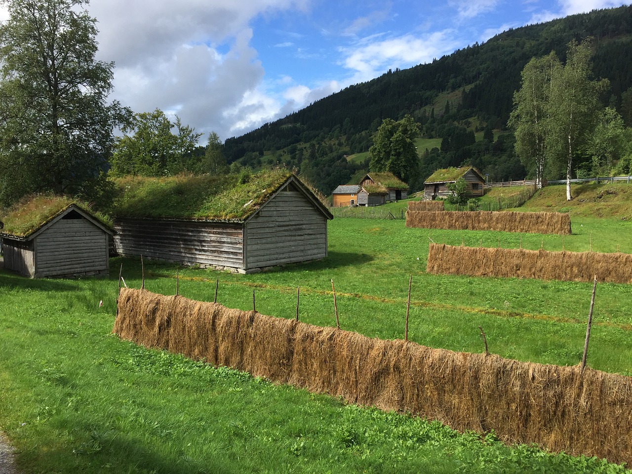 norway sunnfjord landscape free photo