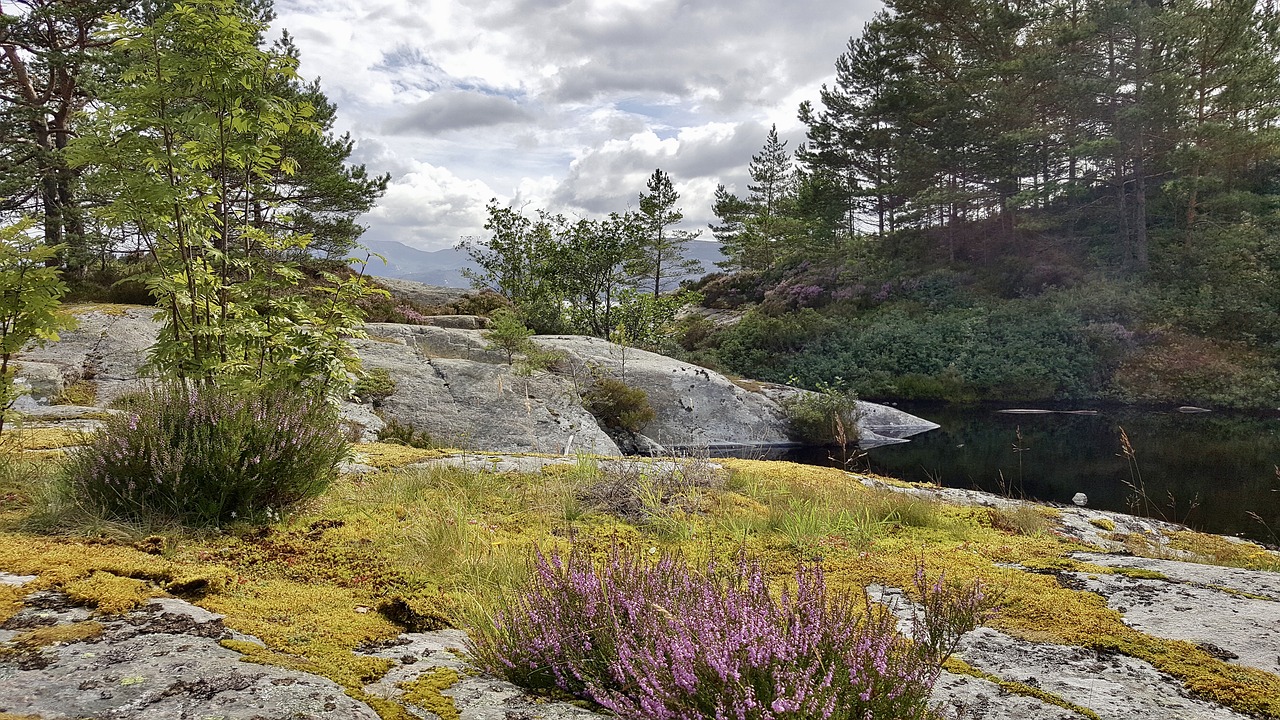 norway landscape fjord free photo