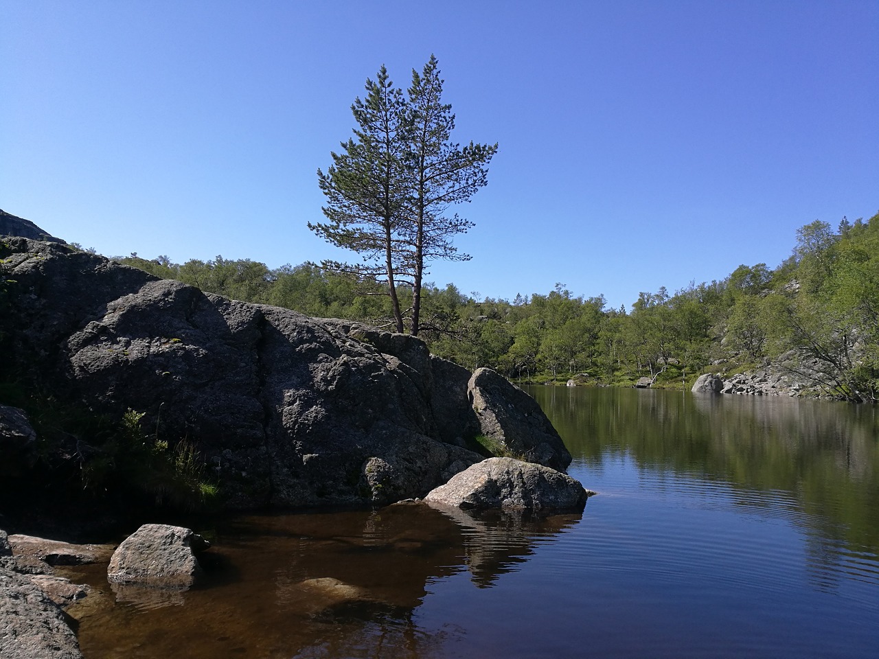 norway hiking tree free photo