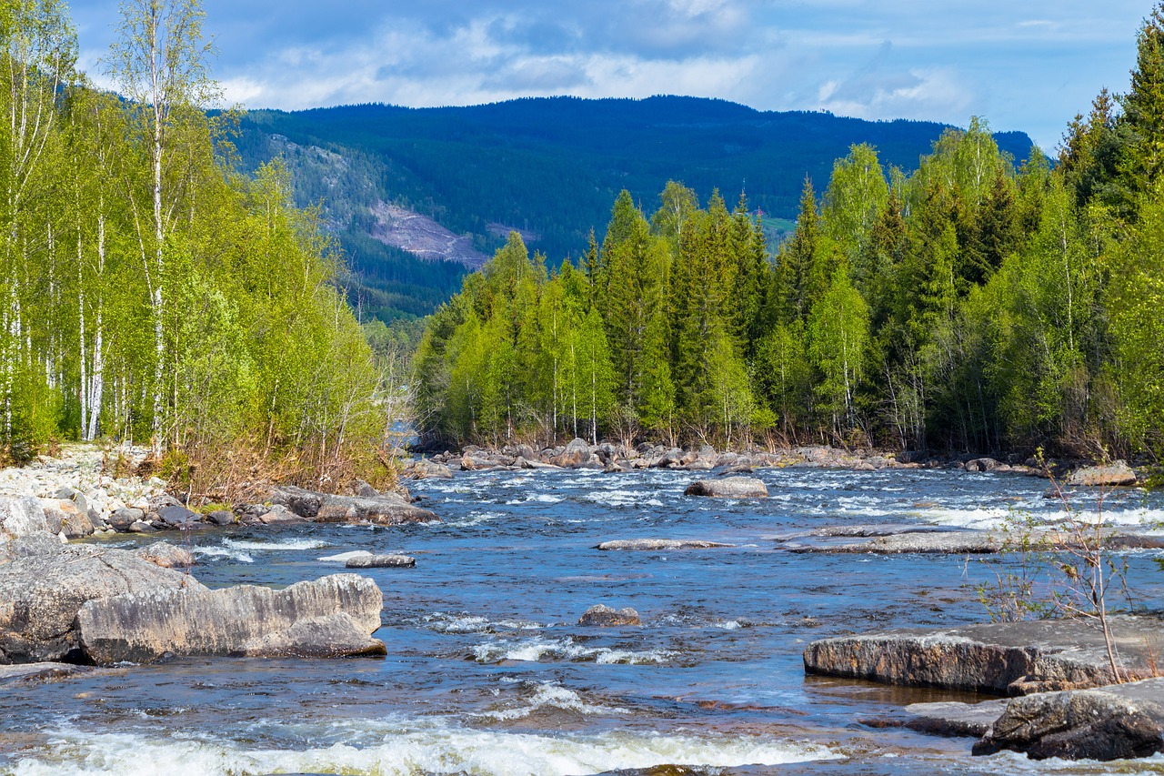 norway river view free photo