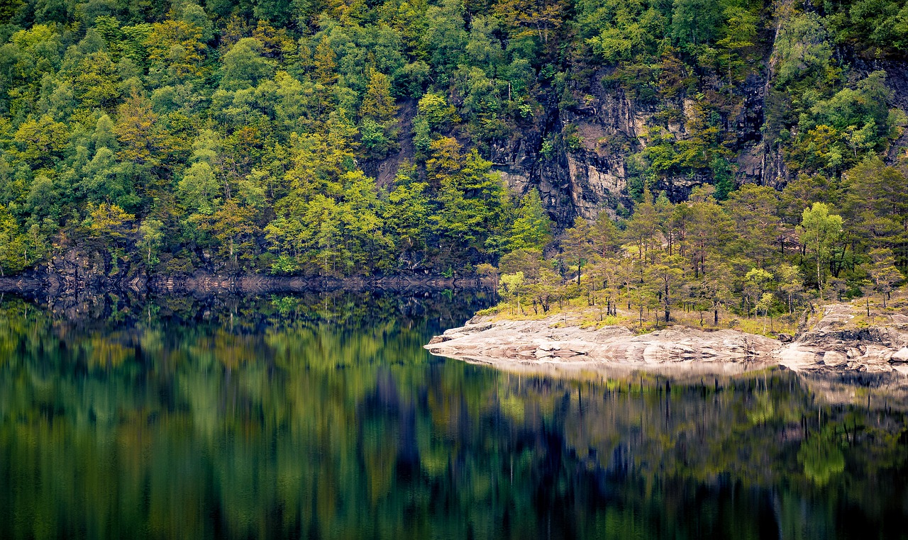 norway forest mountains free photo