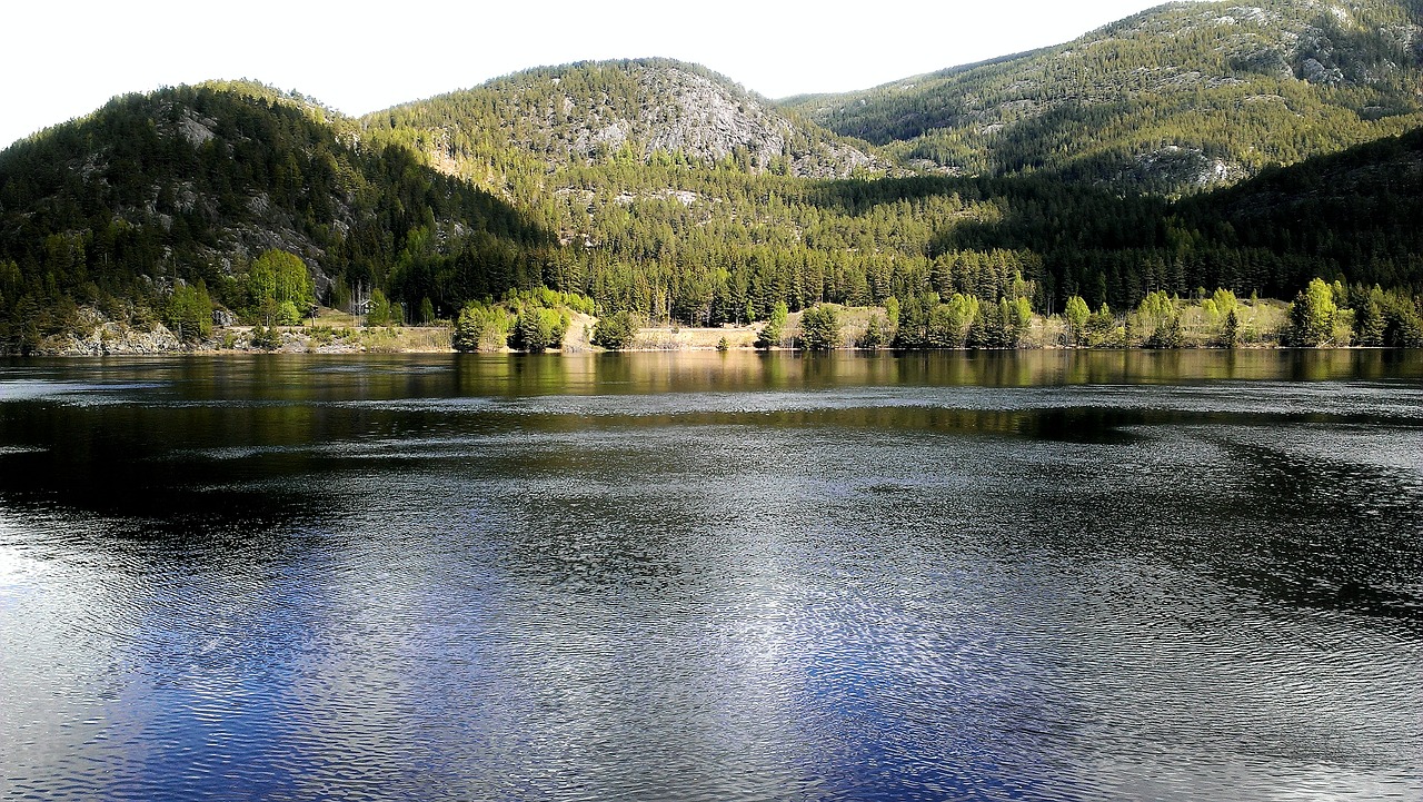 norway  waters  nature free photo