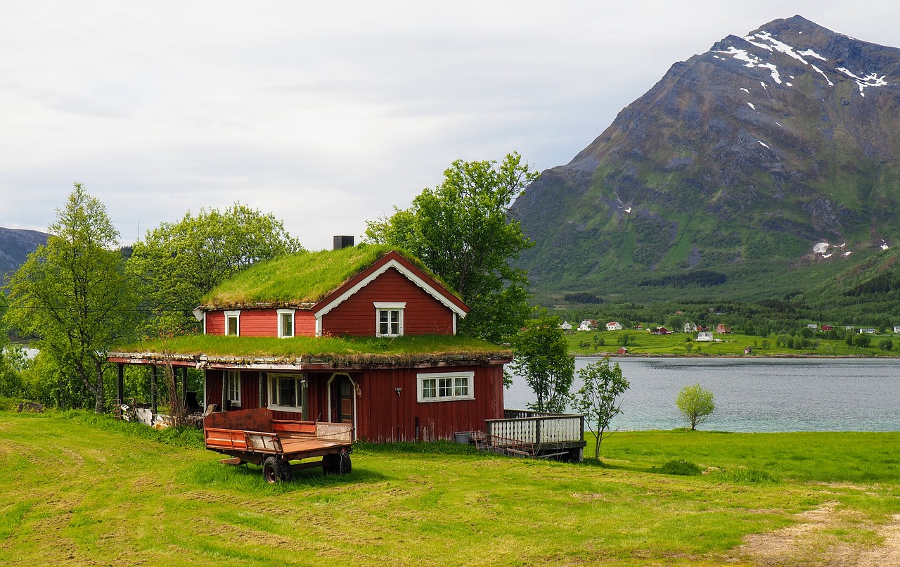 norway  lofoten islands  fjord free photo