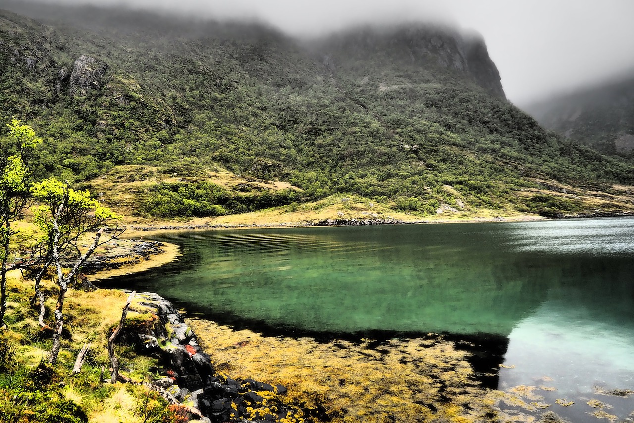 norway  fjord  water free photo