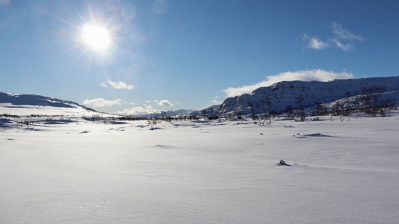 norway  natural  winter free photo