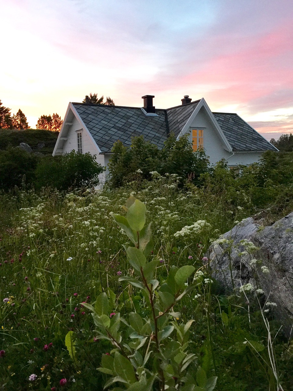 norway  house  flowers free photo