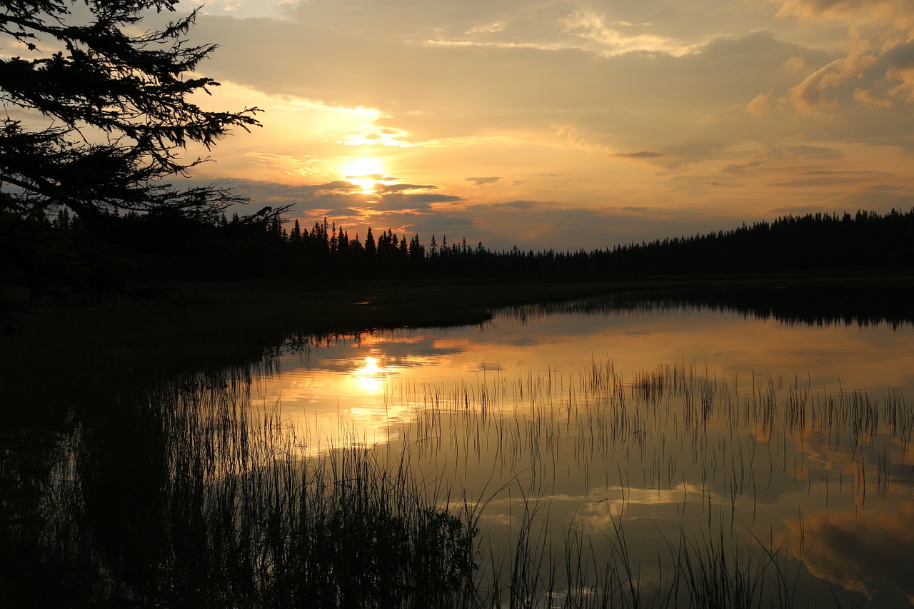 norway tarn sunset free photo