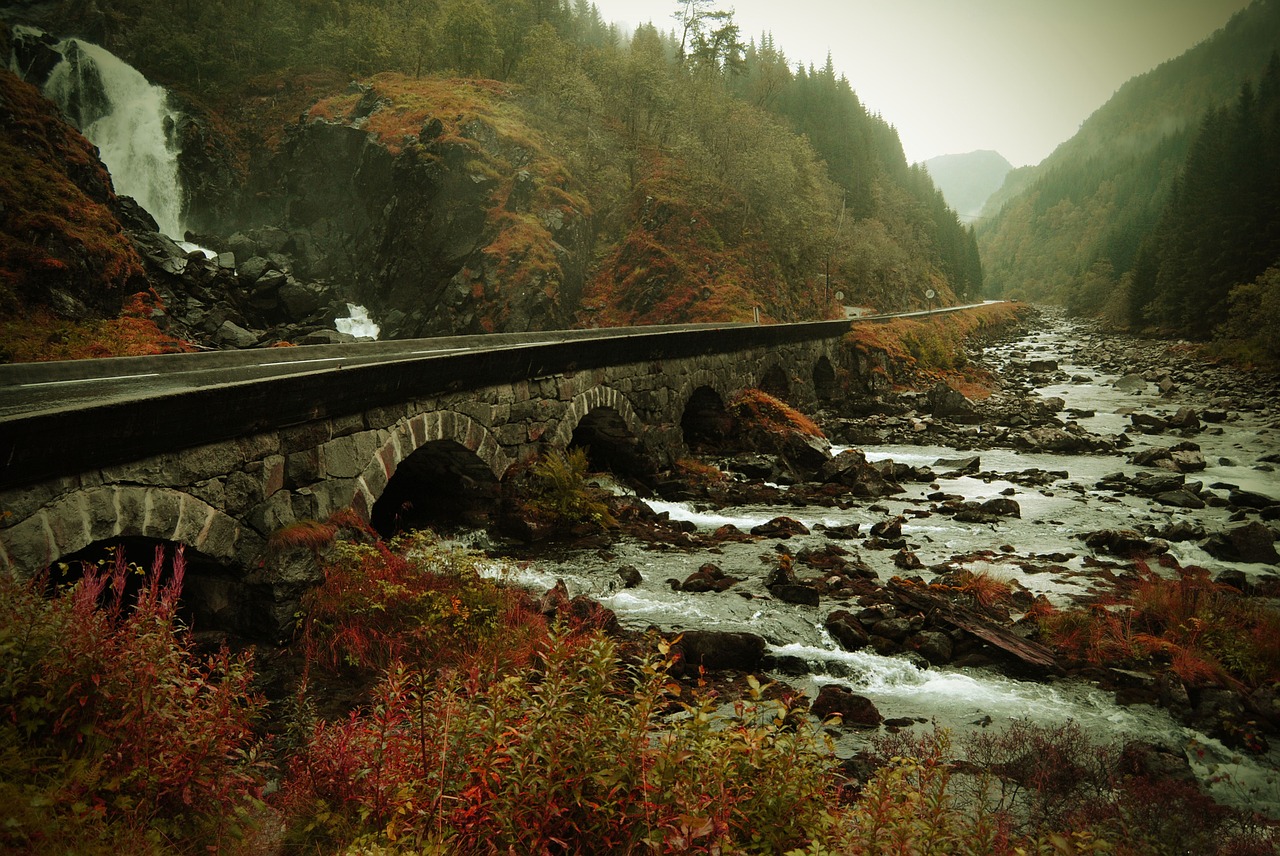 norway autumn the nature of the free photo