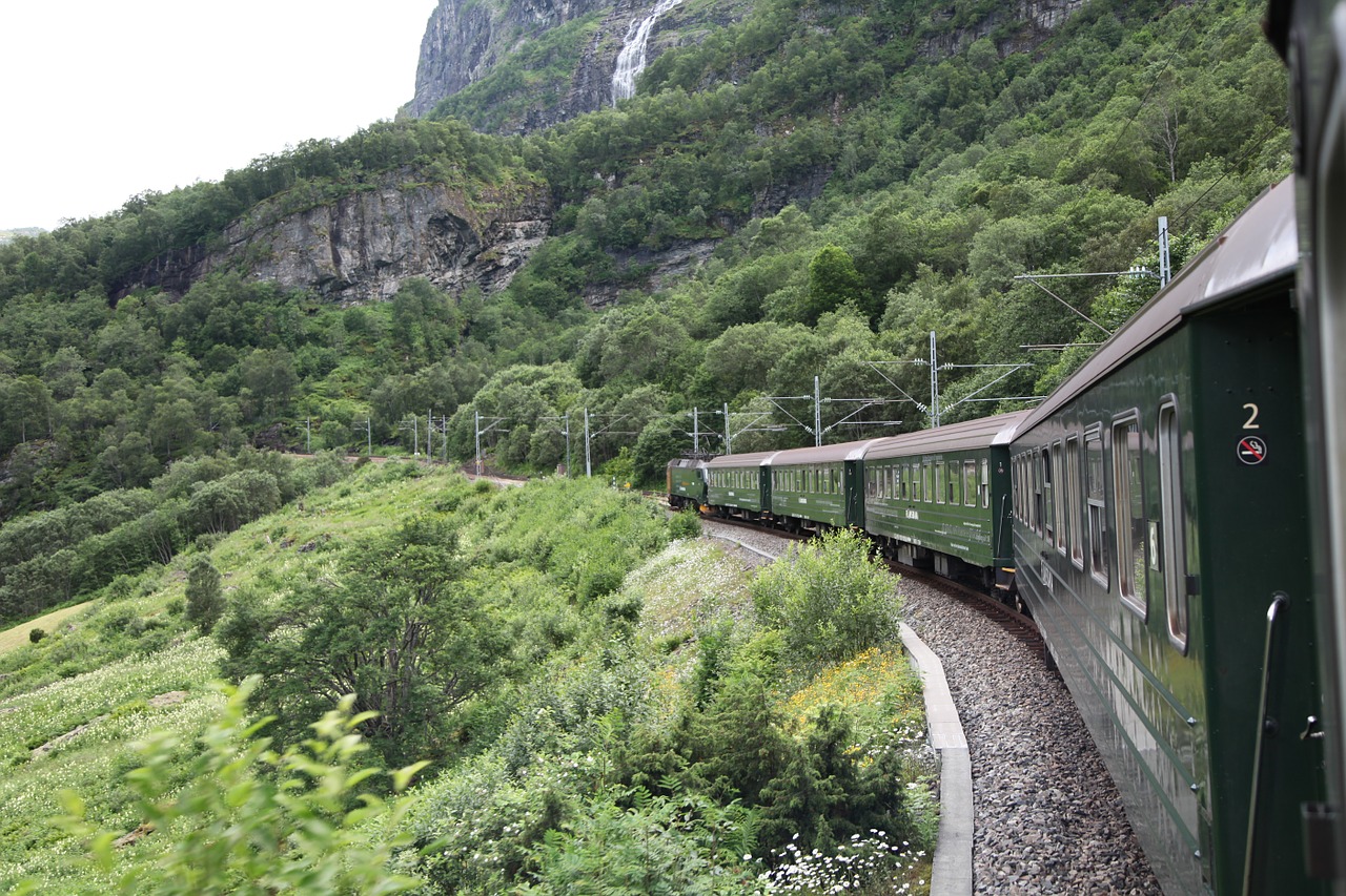 norway train fjord free photo