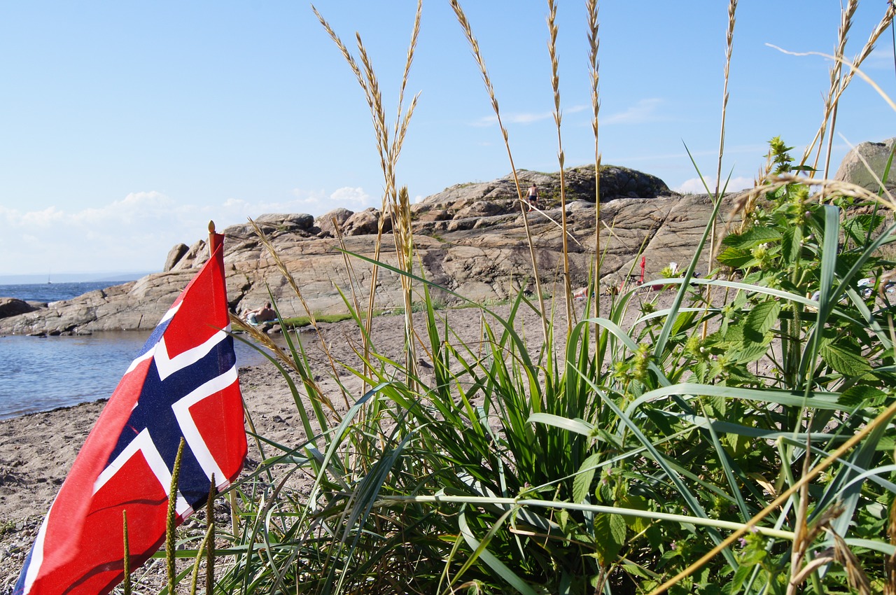 norway moss flag free photo