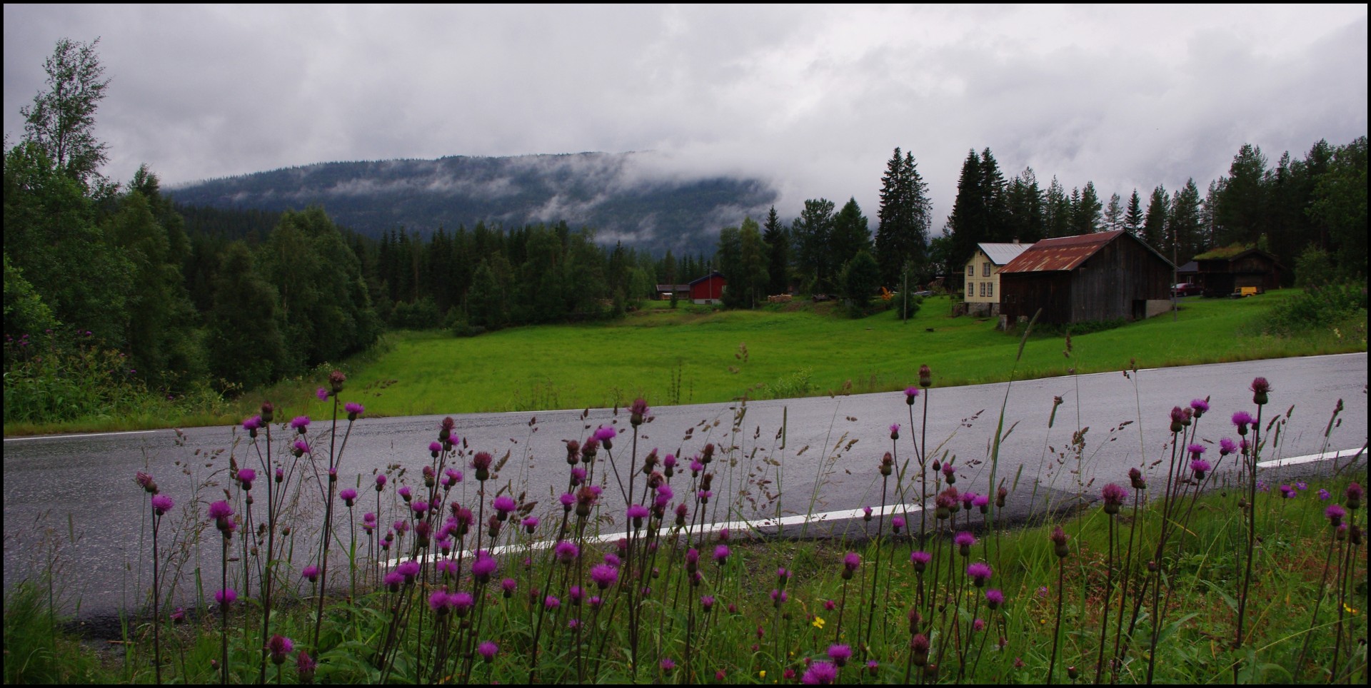 norway panorama view free photo