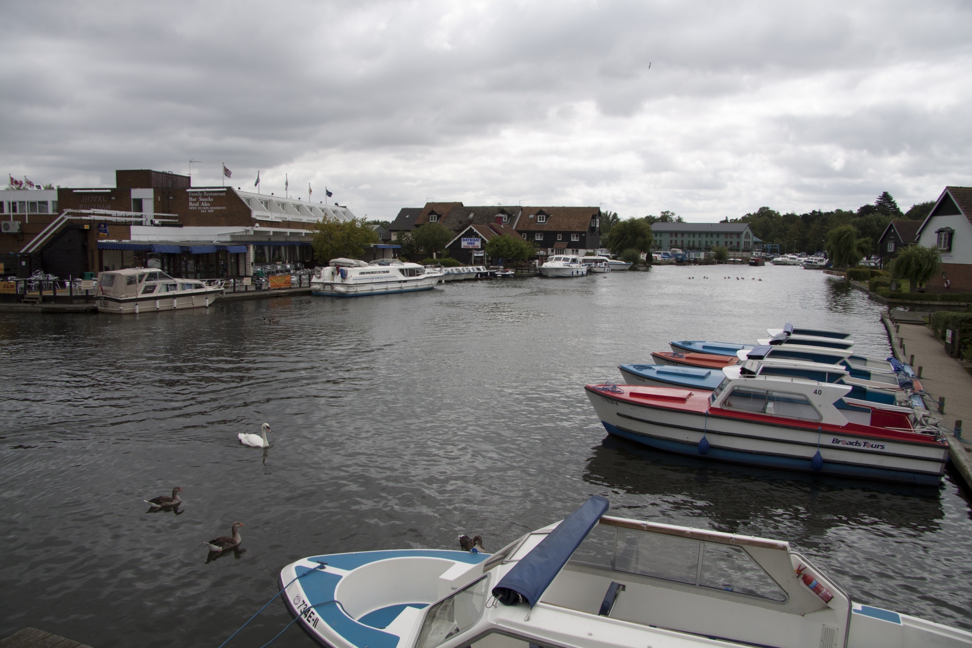 norwich wroxham boats free photo
