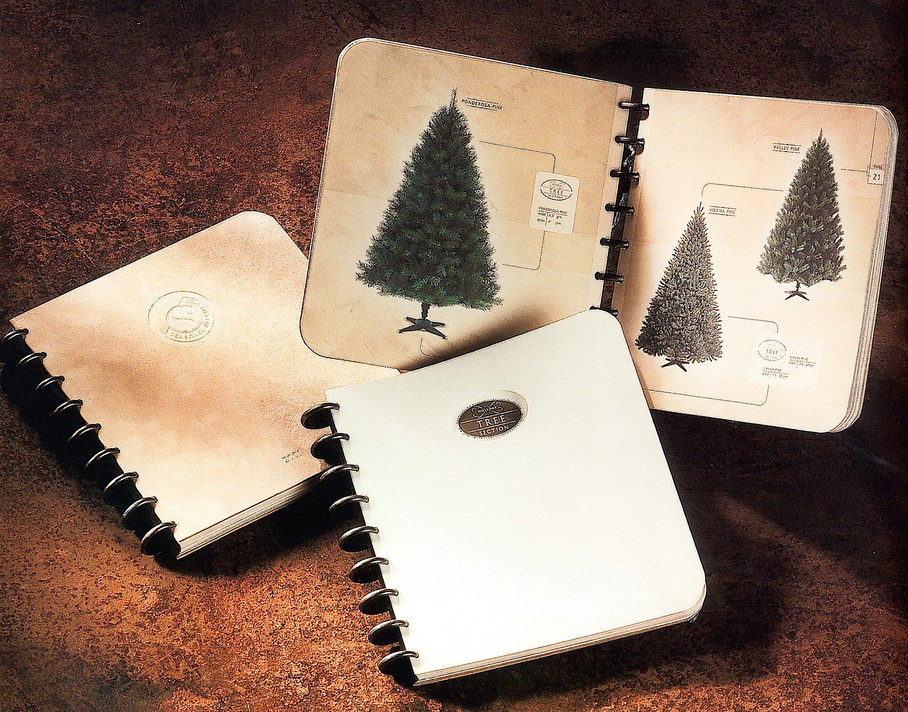 nostalgia notebook pine tree free photo