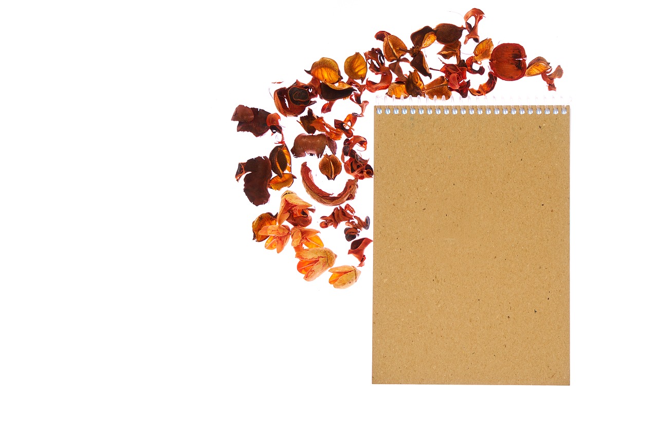 notebook  flower  paper free photo