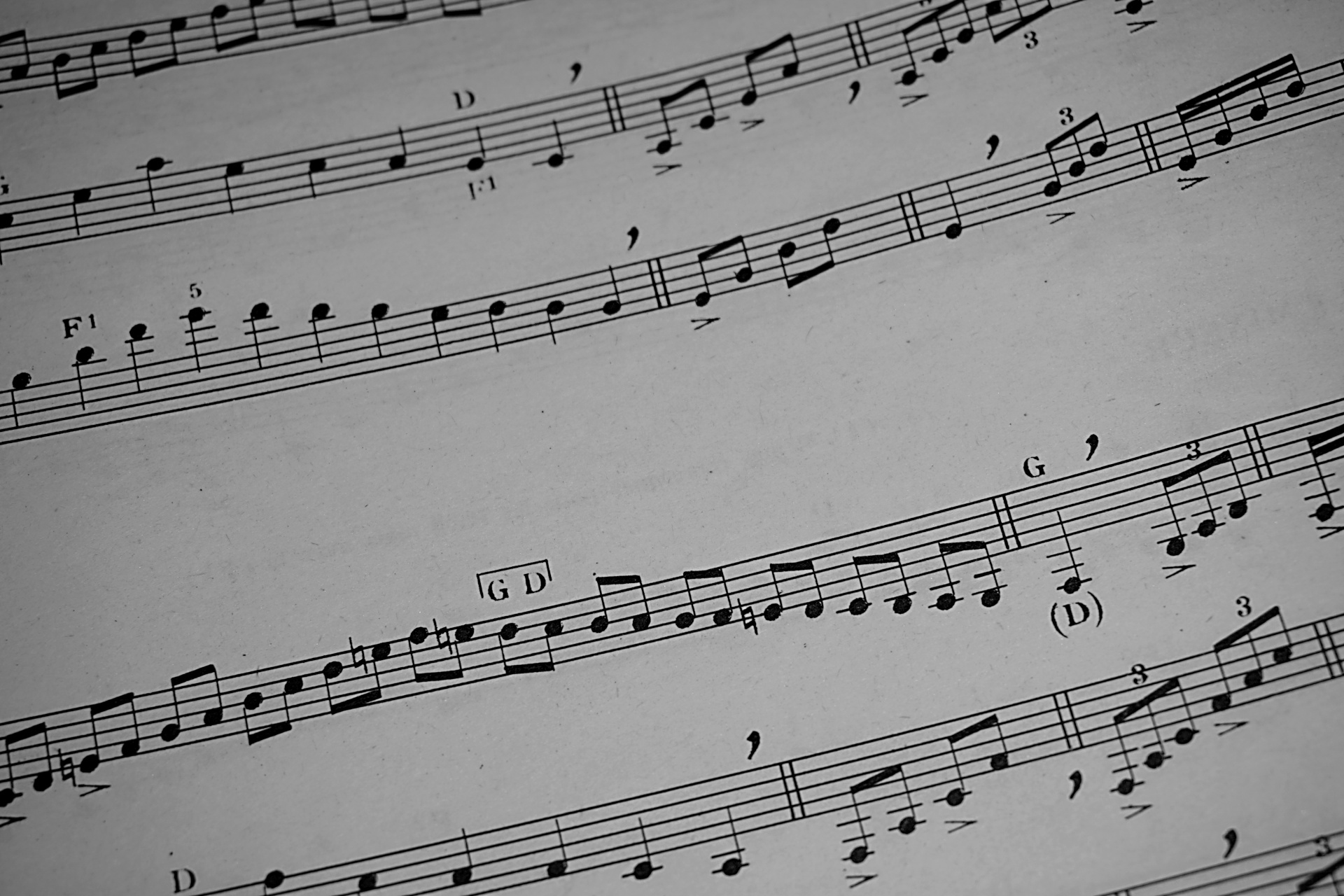notes music score free photo