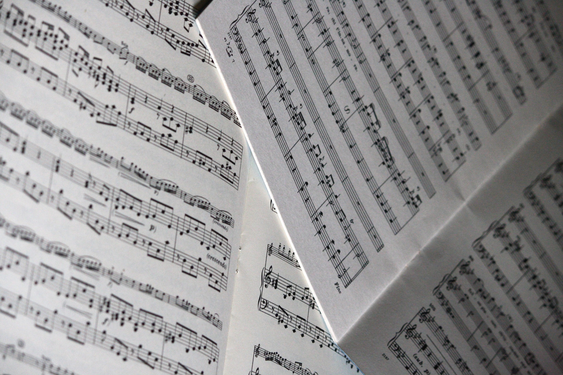 musical composer musician free photo
