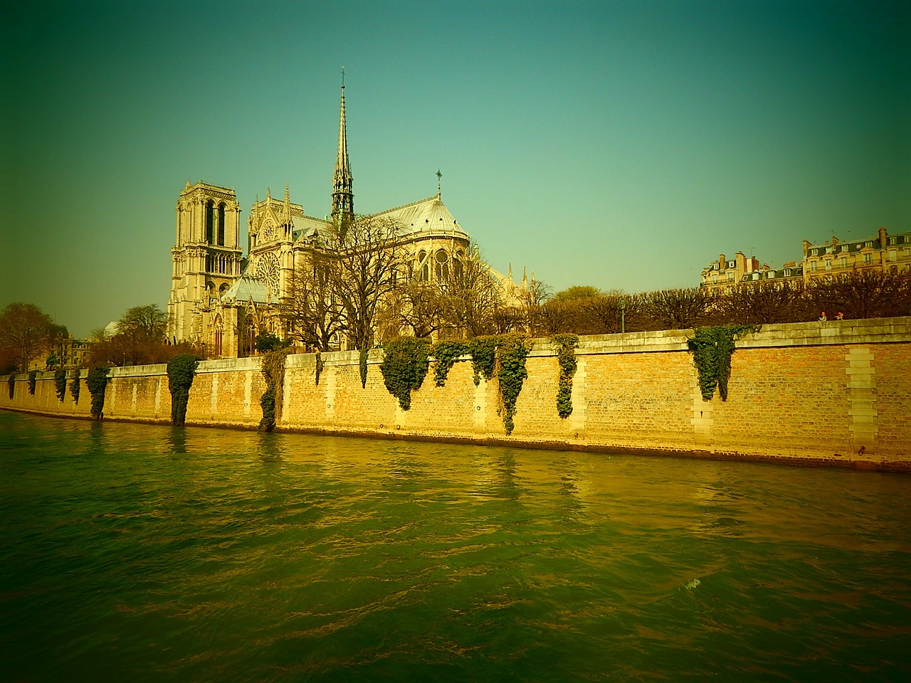 notre dame cathedral its free photo