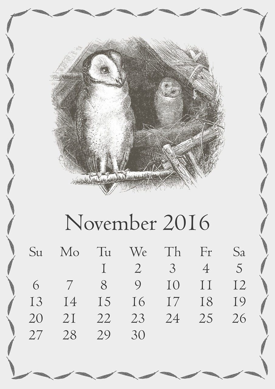 november calendar month free photo